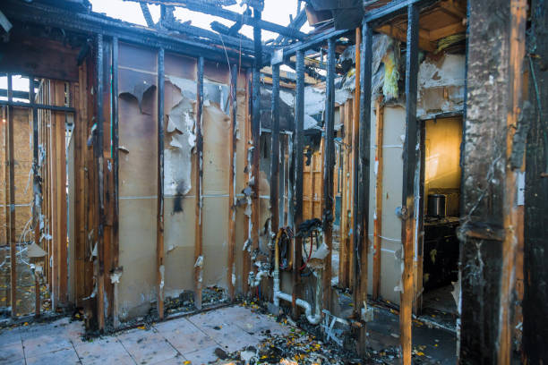 Professional Fire Damage Removal technician working in Underwood-Petersville, AL
